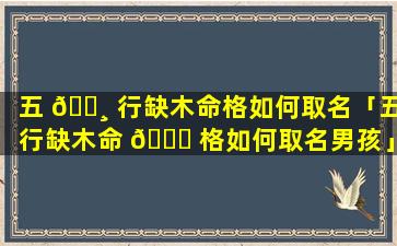 五 🌸 行缺木命格如何取名「五行缺木命 💐 格如何取名男孩」